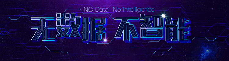 无数据不智能